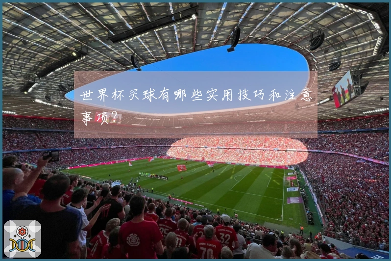 世界杯买球有哪些实用技巧和注意事项？