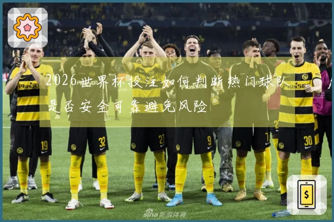 2026世界杯投注如何判断热门球队是否安全可靠避免风险