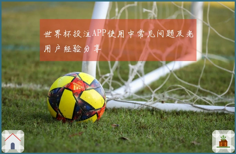 世界杯投注APP使用中常见问题及老用户经验分享