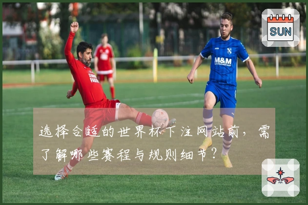 选择合适的世界杯下注网站前，需了解哪些赛程与规则细节？