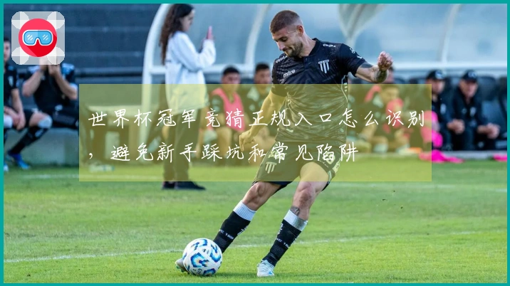 世界杯冠军竞猜正规入口怎么识别，避免新手踩坑和常见陷阱