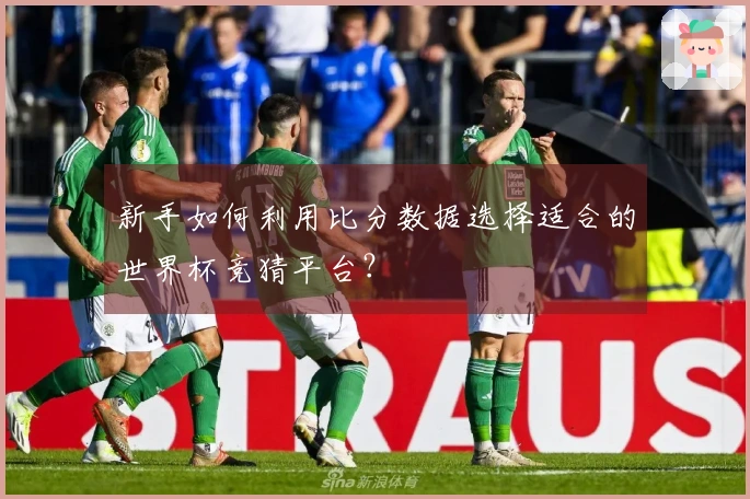 新手如何利用比分数据选择适合的世界杯竞猜平台？
