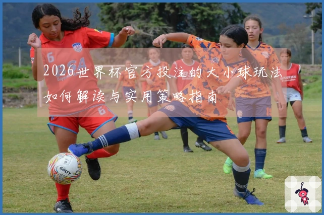 2026世界杯官方投注的大小球玩法如何解读与实用策略指南