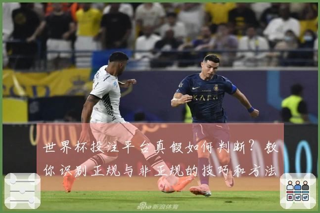 世界杯投注平台真假如何判断？教你识别正规与非正规的技巧和方法