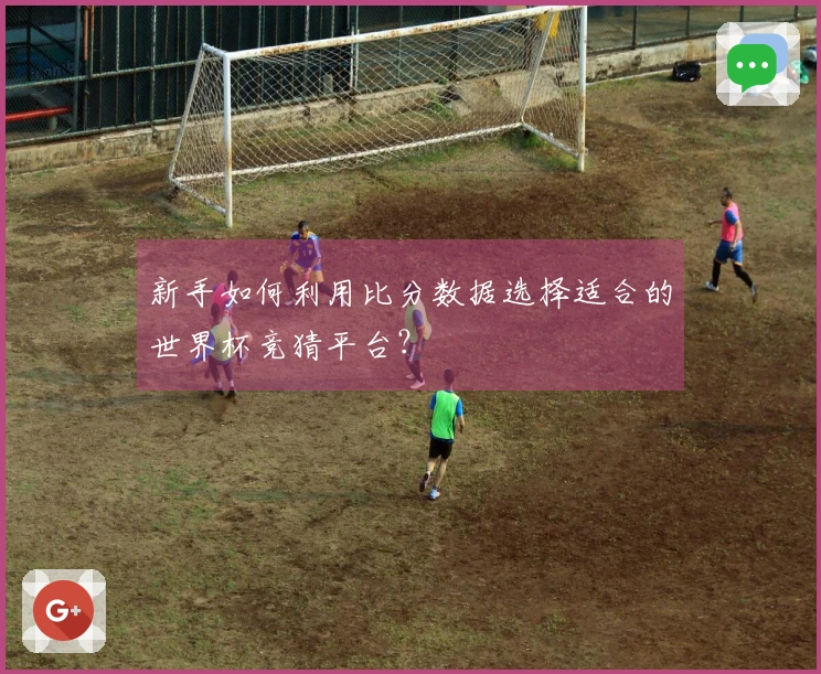新手如何利用比分数据选择适合的世界杯竞猜平台？