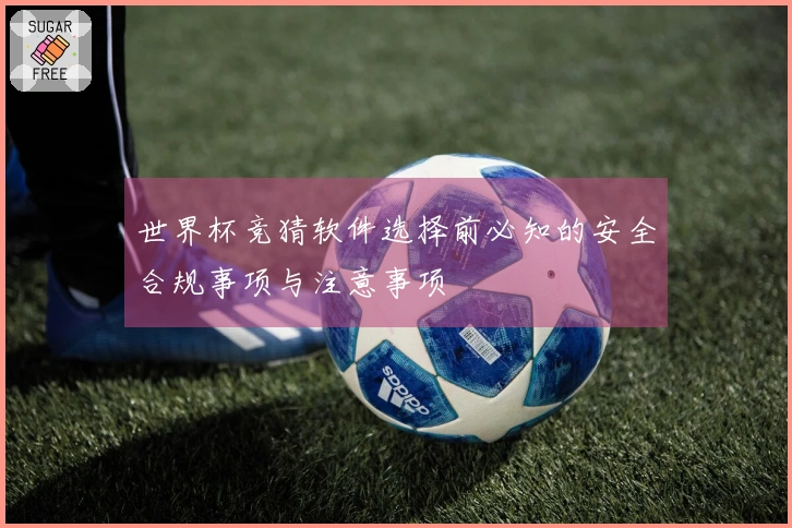 世界杯竞猜软件选择前必知的安全合规事项与注意事项