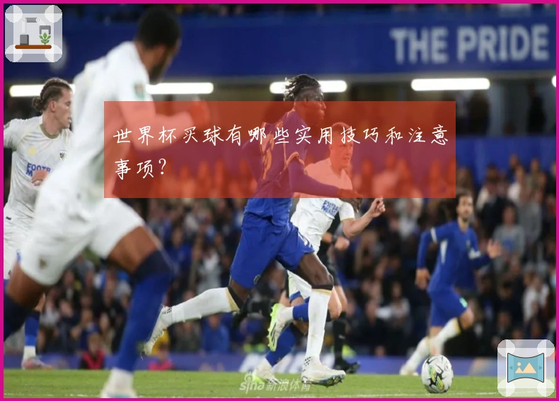 世界杯买球有哪些实用技巧和注意事项？