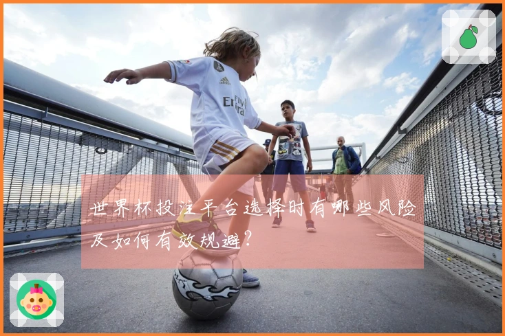 世界杯投注平台选择时有哪些风险及如何有效规避？