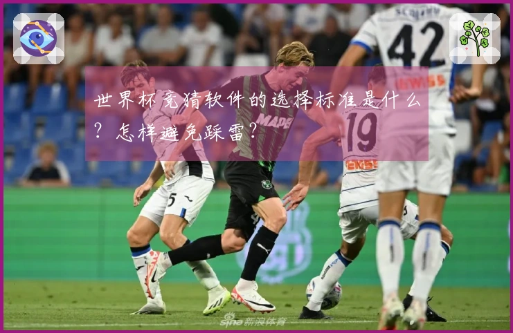 世界杯竞猜软件的选择标准是什么？怎样避免踩雷？
