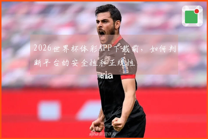 2026世界杯体彩APP下载前，如何判断平台的安全性和正规性