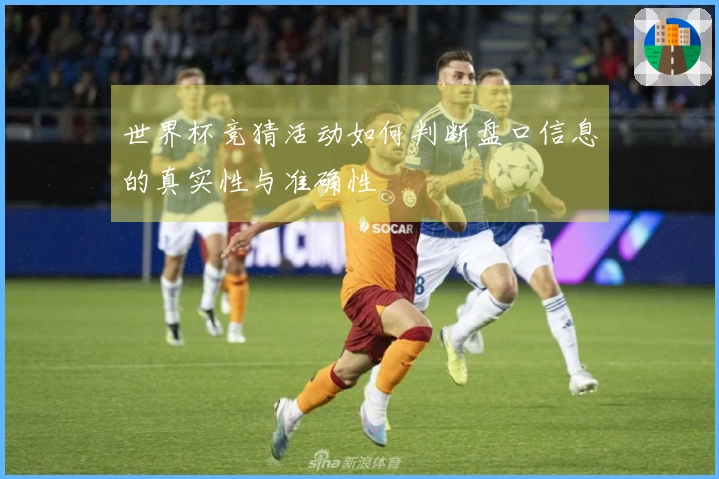 世界杯竞猜活动如何判断盘口信息的真实性与准确性