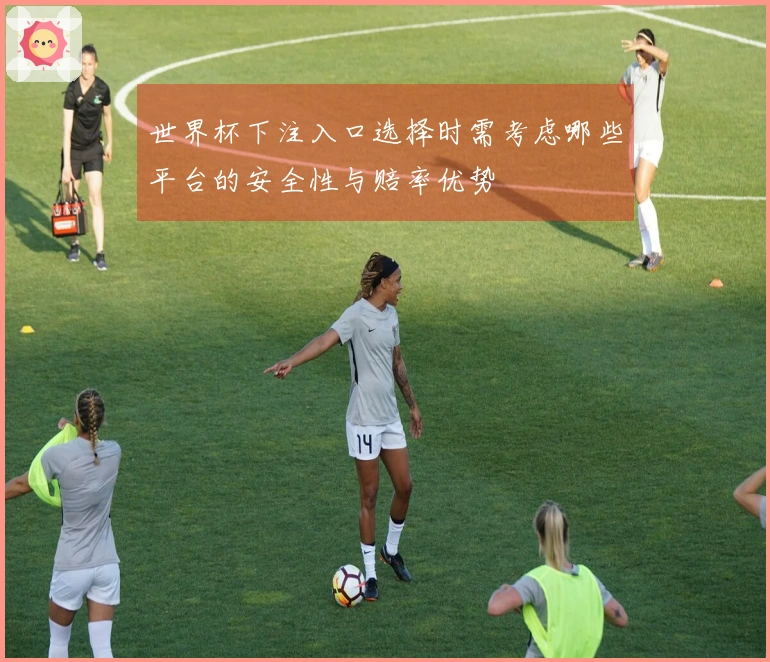 世界杯下注入口选择时需考虑哪些平台的安全性与赔率优势