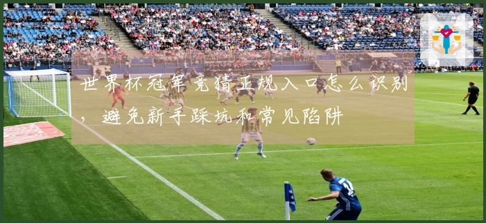 世界杯冠军竞猜正规入口怎么识别，避免新手踩坑和常见陷阱